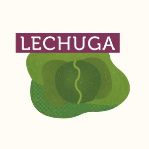 18-COQUIMBO-LECHUGA-