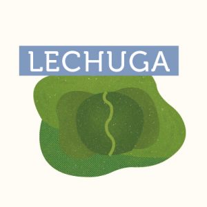 18-LOS-LAGOS-LECHUGA