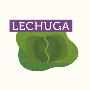 18-VALPARAISO-LECHUGA