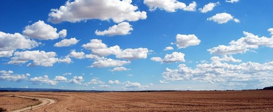 Encuesta sobre el manejo sustentable de films plásticos en la agricultura: lineamientos técnicos y recomendaciones para el diseño de una política pública.