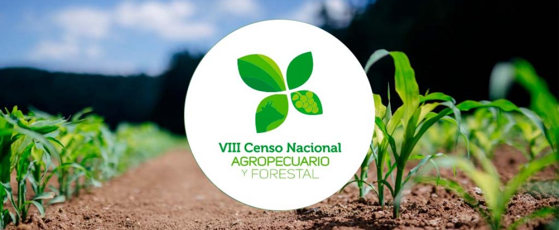 Censo Agropecuario y Forestal 2021