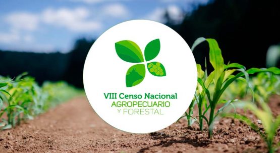 Censo Agropecuario y Forestal 2021