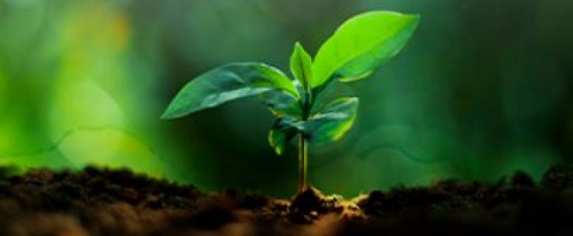 Seminarios de Odepa en Expo Chile Agrícola