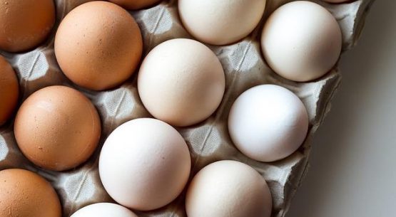 Producción de huevos para consumo en el país superó las 348 millones de unidades en julio