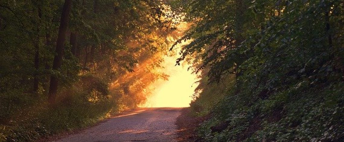 Suscripciones avanzadas en el sitio web de Odepa