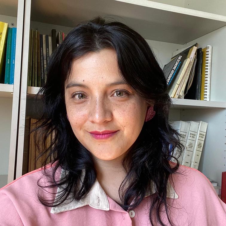 organigrama de Odepa 2022