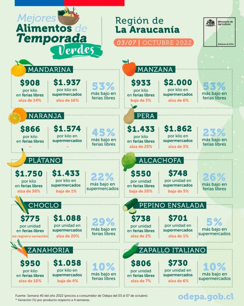 Mejores alimentos de temporada verdes - Región de La Araucanía