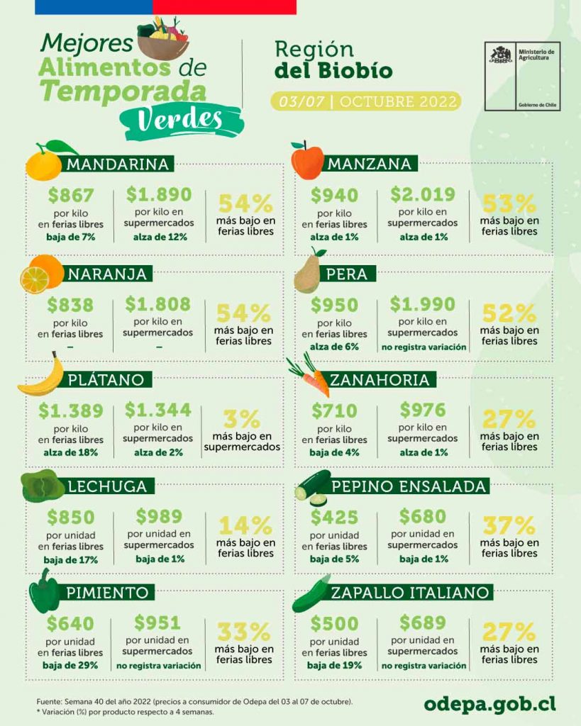 Mejores alimentos de temporada verdes - Región del Biobío