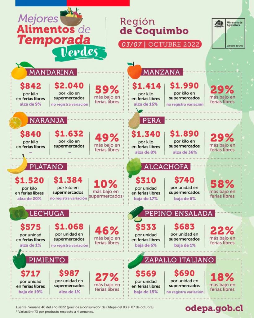 Mejores alimentos de temporada verdes - Región de Coquimbo