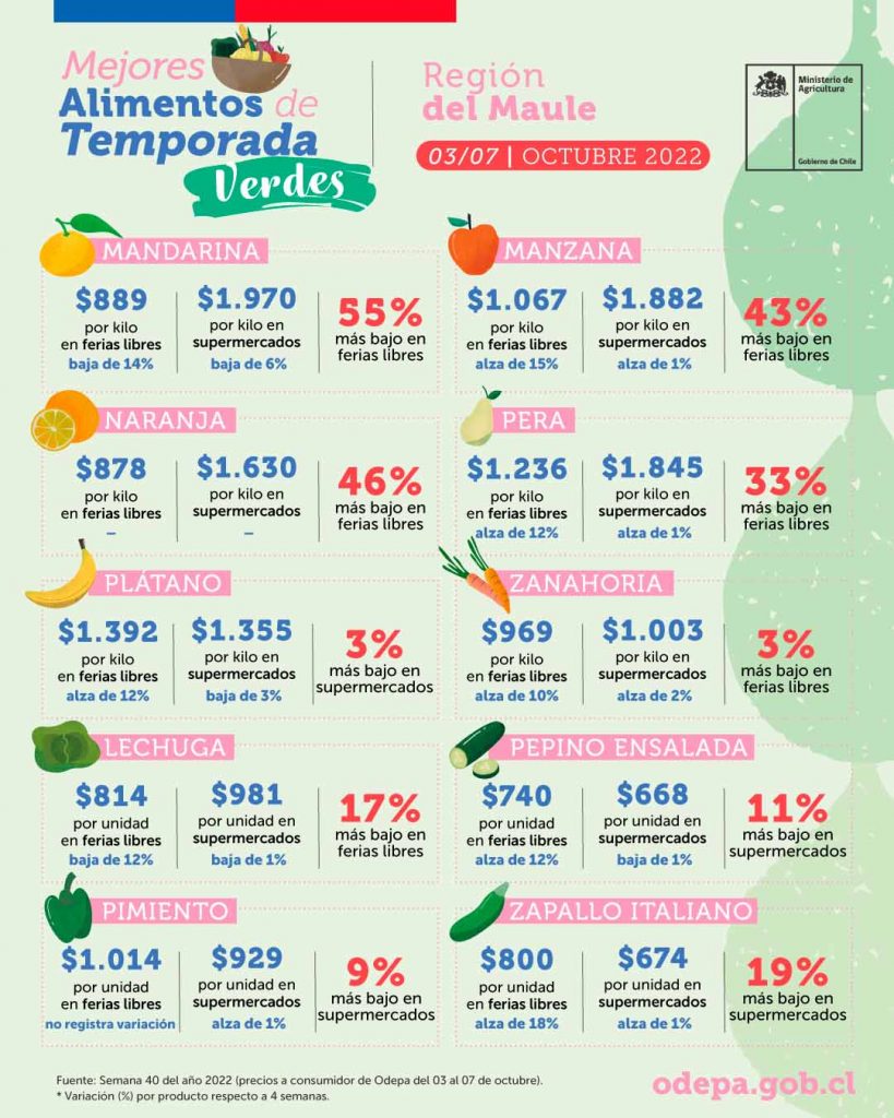 Mejores alimentos de temporada verdes - Región del Maule