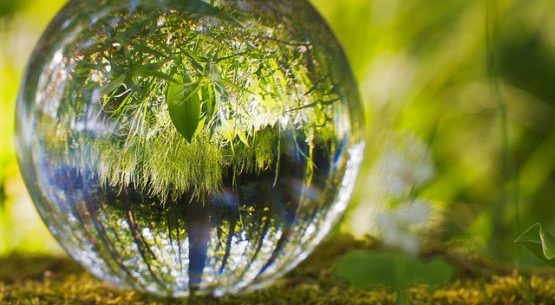 Odepa y BID convocan a organizaciones especialista en consultorías sobre mitigación de emiciones GEI