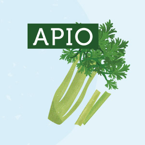Apio - Región de Biobío