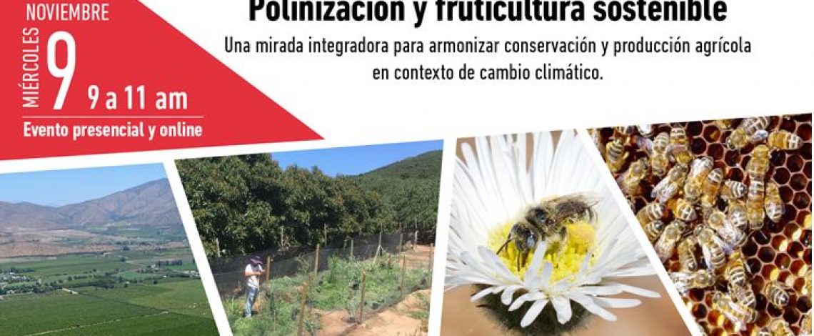 Invitación al seminario “Polinización y fruticultura sostenible: una mirada integradora para armonizar conservación y producción agrícola en contexto de cambio climático”