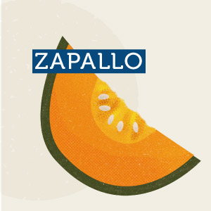 Zapallo - Región Metropolitana