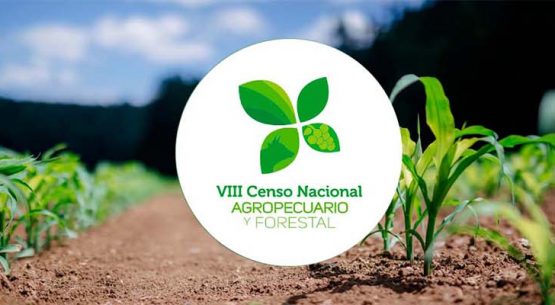 Análisis de los Resultados del VIII Censo Agropecuario y Forestal