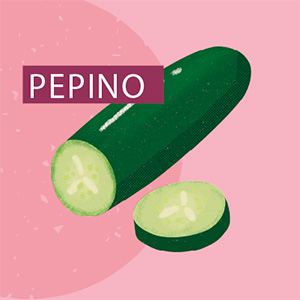 Pepino ensalada - Región de Coquimbo
