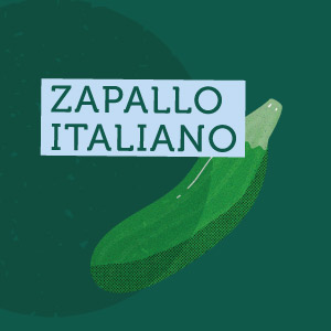 Zapallo italiano - Región de La Araucanía