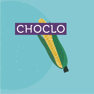 Choclo - Región de Ñuble