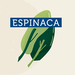 Espinaca - Región Metropolitana