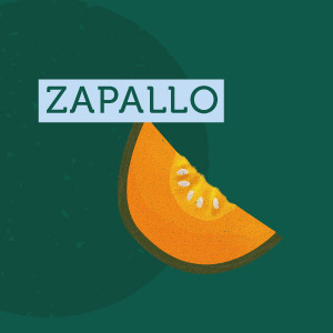 Zapallo - Región de La Araucanía