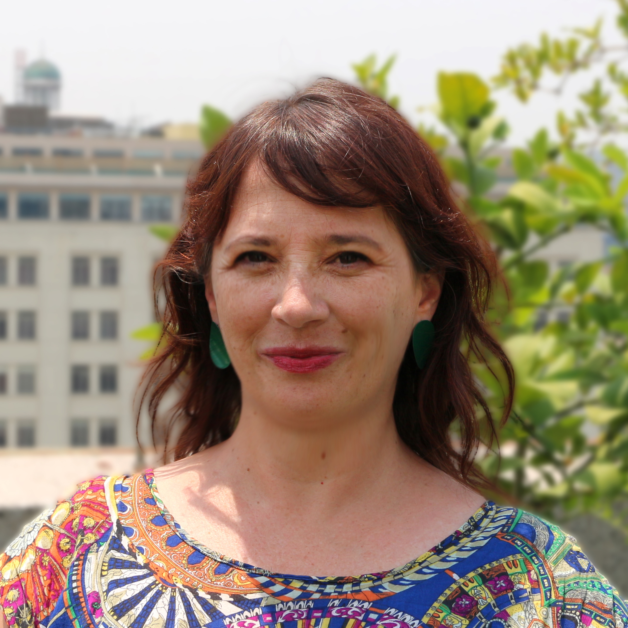 organigrama de Odepa 2022