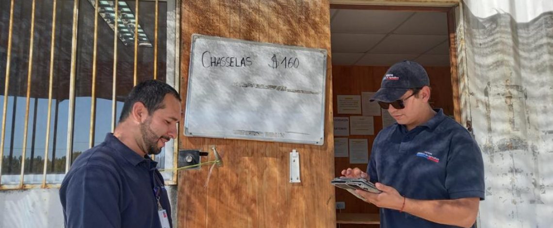 Odepa refuerza el trabajo de toma de precios de uva vinífera