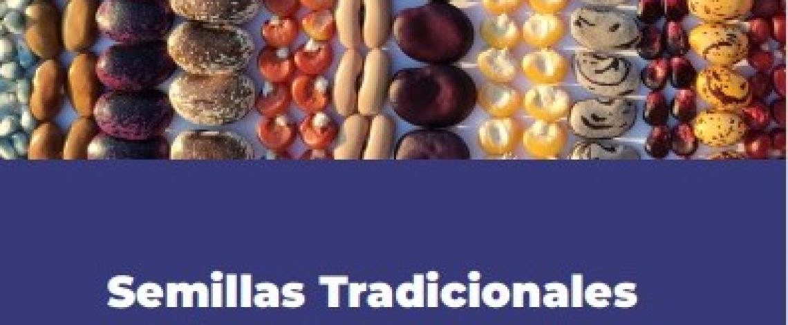 Dia Mundial de la Semilla: Semillas Tradicionales del Pueblo Mapuche