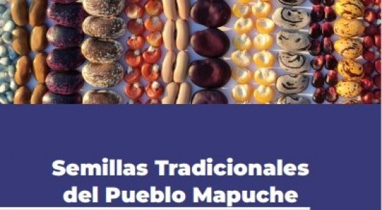 Dia Mundial de la Semilla: Semillas Tradicionales del Pueblo Mapuche