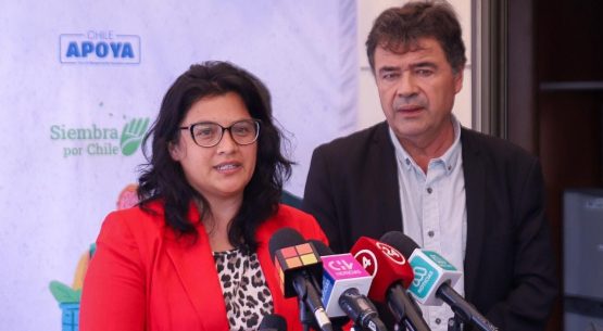 Ministro Valenzuela se refiere a la situación de la industria de huevos y arroz: “Evitemos alarmas innecesarias”