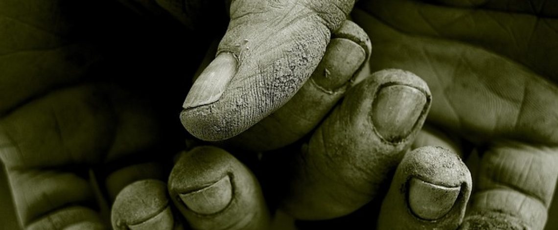 1° de mayo: Odepa valora a quienes trabajan en agricultura, ya que proveen alimentos al país