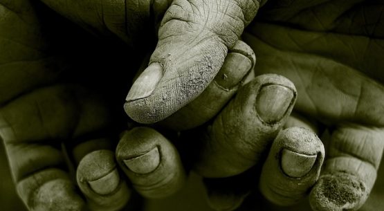 1° de mayo: Odepa valora a quienes trabajan en agricultura, ya que proveen alimentos al país