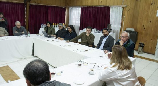 Directora de Odepa visitó la Región de La Araucanía