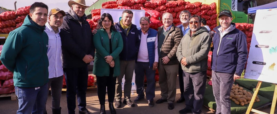 Ministro Valenzuela llama a la calma y señala que alzas de precios en algunos alimentos son puntuales y se debieran estabilizar 