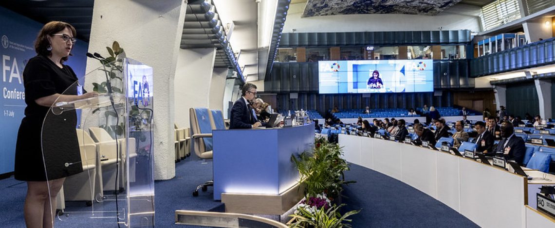 La subdirectora de Odepa representó al Ministerio de Agricultura en la 43° Conferencia de la FAO en Roma
