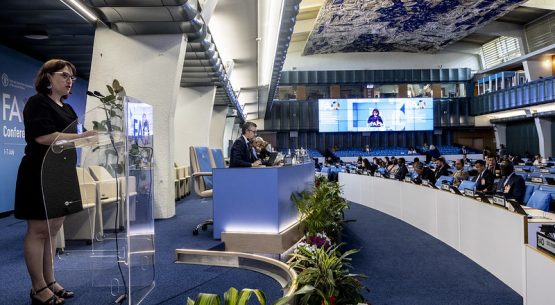 La subdirectora de Odepa representó al Ministerio de Agricultura en la 43° Conferencia de la FAO en Roma