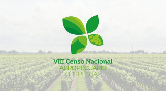 Panel de expertos que analizó el VIII Censo Agropecuario y Forestal (CAF) entregó sus recomendaciones