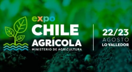 Importante participación tuvo Odepa en la Expo Chile Agrícola