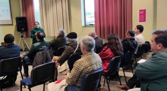 Odepa y SAG finalizaron ciclo de talleres macrorregionales para difundir consulta pública de los Reglamentos de la Ley Apícola