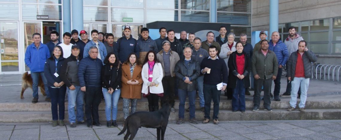 Odepa organizó primer taller participativo sobre los reglamentos de la Ley Apícola