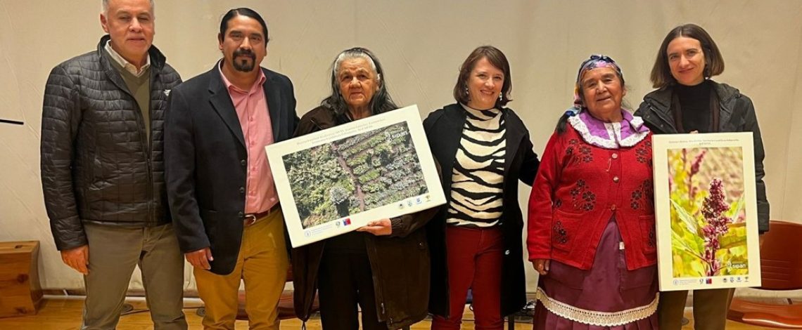 Junto a otras autoridades, la subdirectora de Odepa participó en el seminario “Sistema de Vida Cordillera Pehuenche”, en Temuco