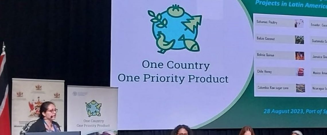 Odepa dicta charla en taller para promover productos agrícolas con cualidades únicas y características especiales