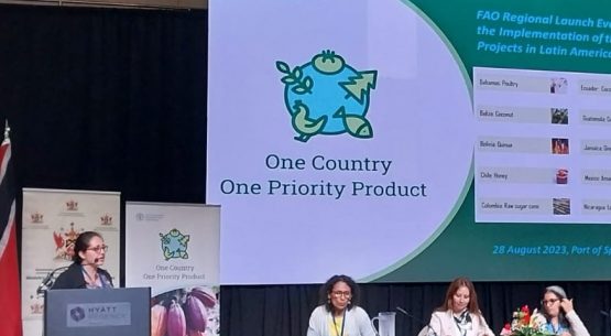 Odepa dicta charla en taller para promover productos agrícolas con cualidades únicas y características especiales