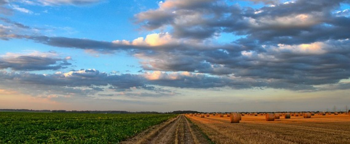 Charlas presenciales de Odepa en la Expo Chile Agrícola