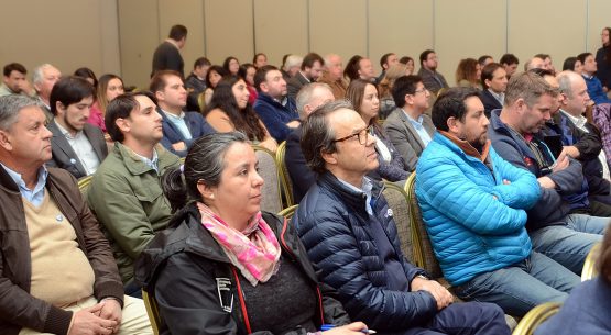 Tras culminar Acuerdo de Producción Limpia, sector lechero recibe sello Chile Origen Consciente