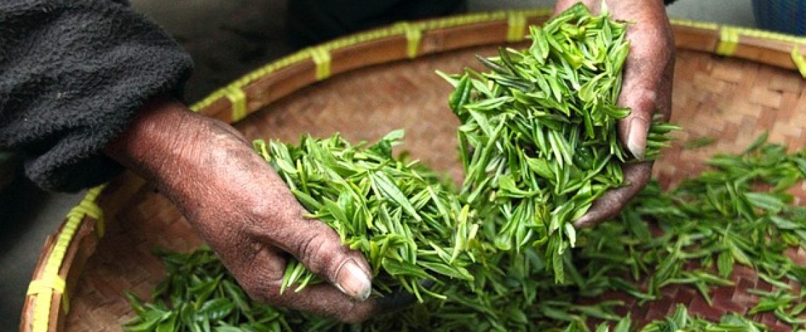 Odepa participará en la Expo Chile Agrícola 2023 el 22 y 23 de agosto