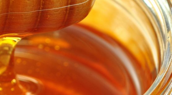 Estudio: Costos de producción miel material