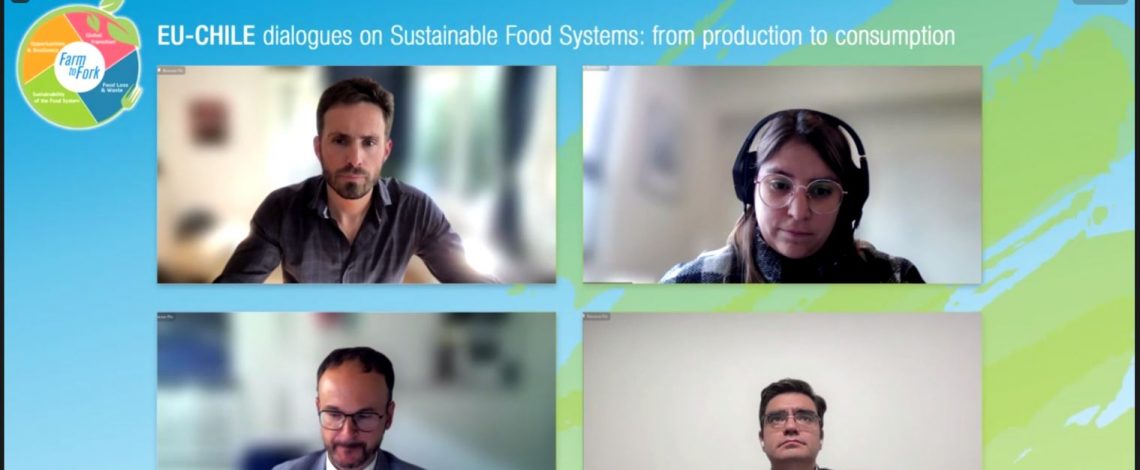 Odepa expuso en el taller «Diálogos UE-Chile sobre Sistemas Alimentarios Sostenibles: de la producción al consumo»