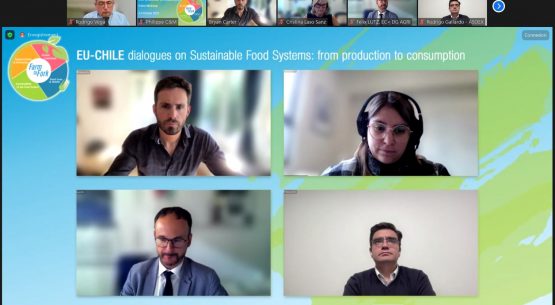 Odepa expuso en el taller «Diálogos UE-Chile sobre Sistemas Alimentarios Sostenibles: de la producción al consumo»