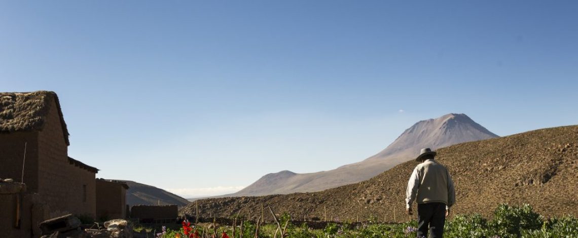 Consultoría para la elaboración de un kit metodológico que permita incorporar la perspectiva y los lineamientos de la Política Nacional de Desarrollo Rural en los instrumentos de planificación, gestión y desarrollo rural a nivel regional y comunal