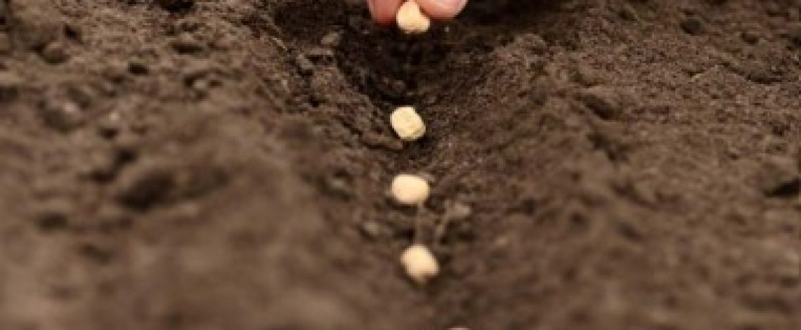 La Estrella informó sobre creación de la red provincial de mujeres guardadoras